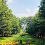 cubbon park